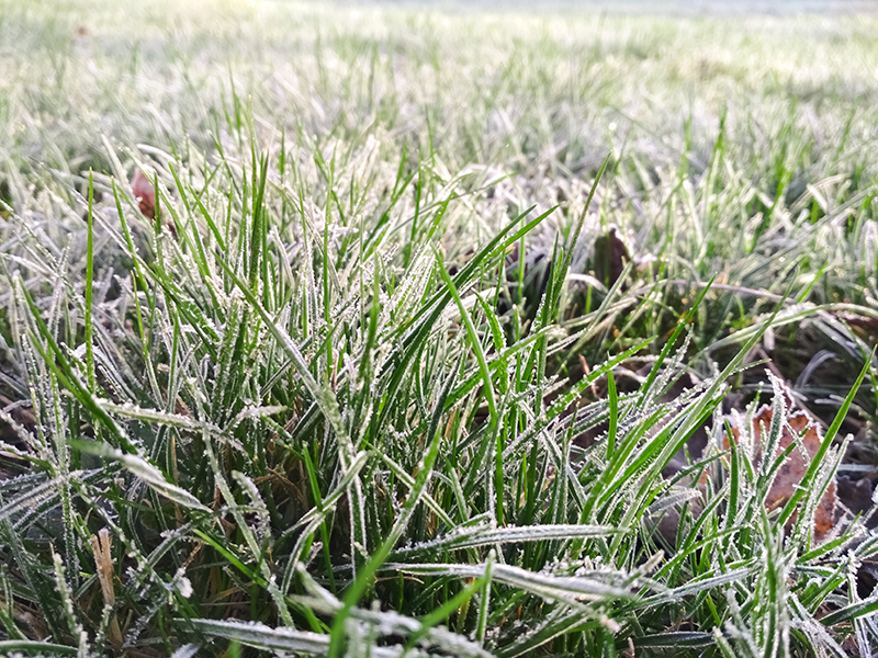 4 Tips For Protecting Your Lawn This Winter