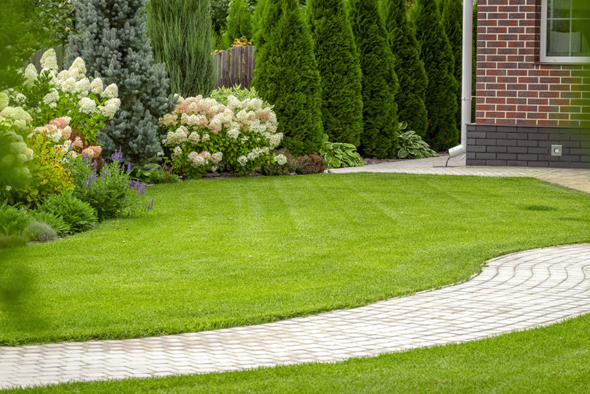New Year, New Lawn: The Benefits of Year-Round Lawn Treatments
