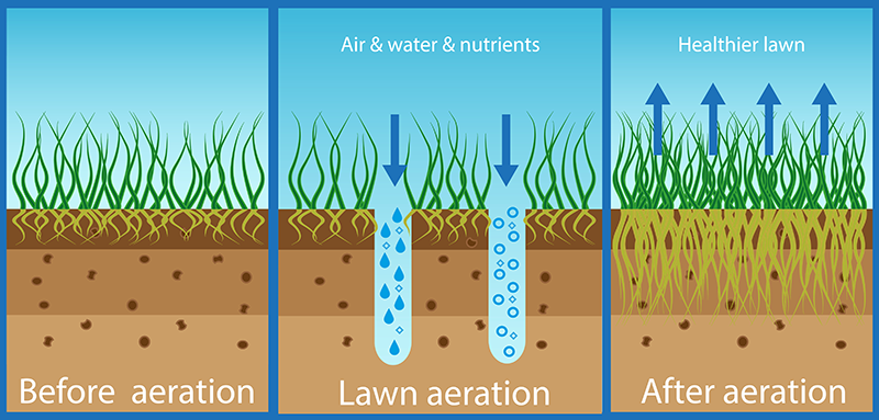 5 Benefits of Lawn Aeration