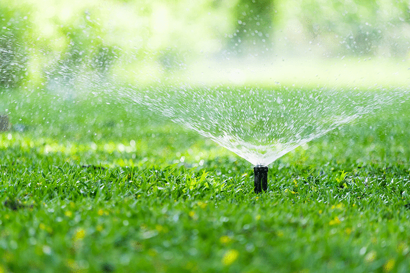 The Best Sprinkler Routine for Your Alabama Lawn